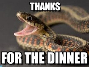 Talking snakes